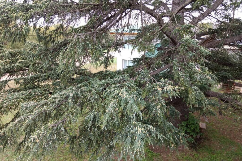 Maika La Peke Διαμέρισμα Sierra de la Ventana Εξωτερικό φωτογραφία